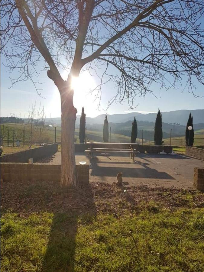 Agriturismo La Valle Della Lavanda - Podere Mezzastrada Fauglia Экстерьер фото