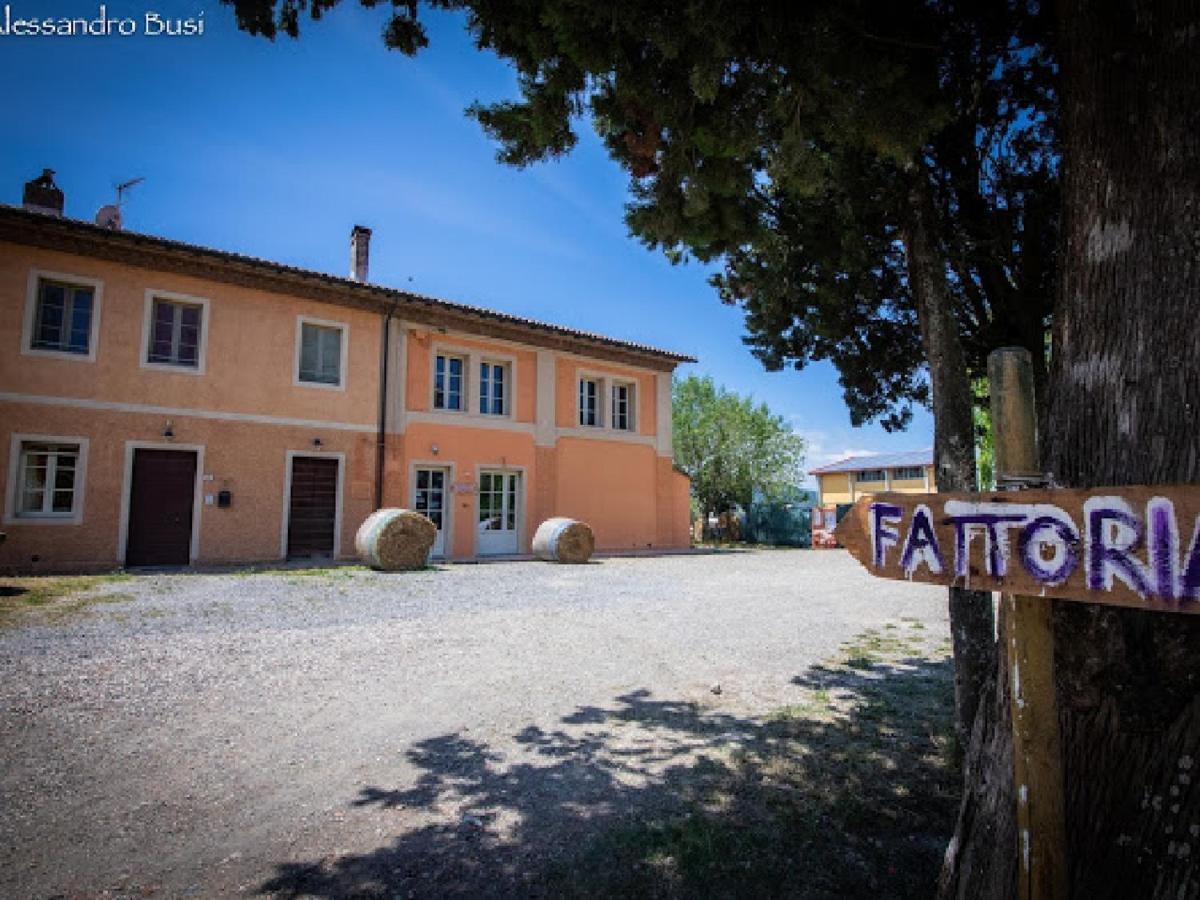 Agriturismo La Valle Della Lavanda - Podere Mezzastrada Fauglia Экстерьер фото